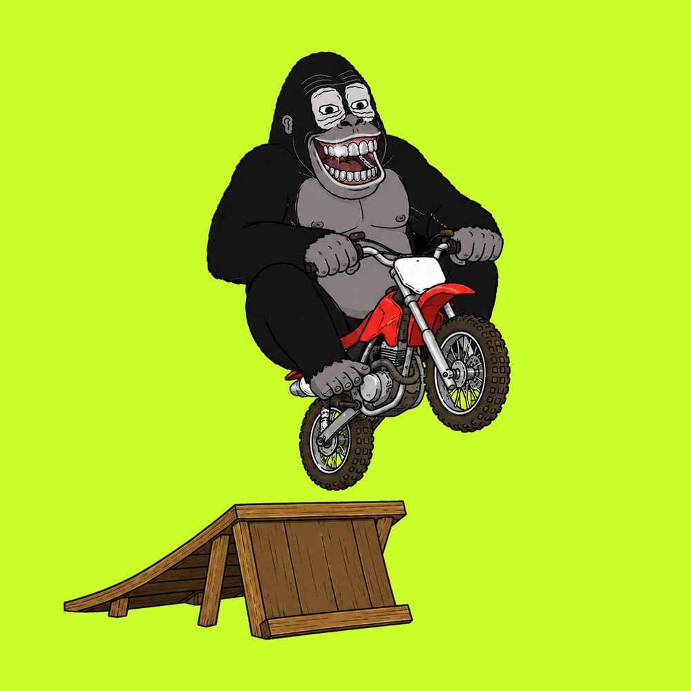 Gorilla launching a dirt bike off a ramp